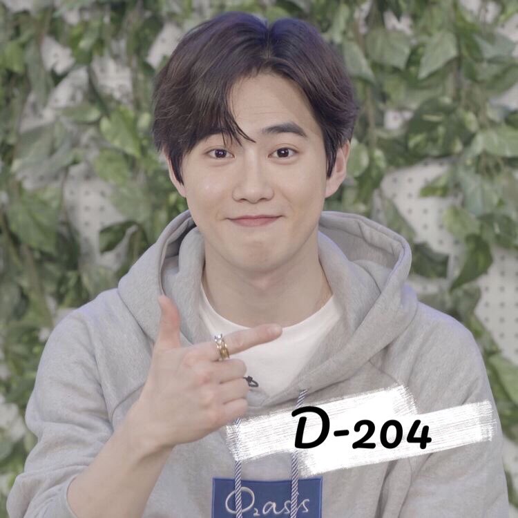 SuhoEcOfficial's tweet photo. Cuenta regresiva para que #SUHO termine el servicio militar 
           🐰 D - 204🐰
@weareoneEXO https://t.co/PpLxXj1Kv9