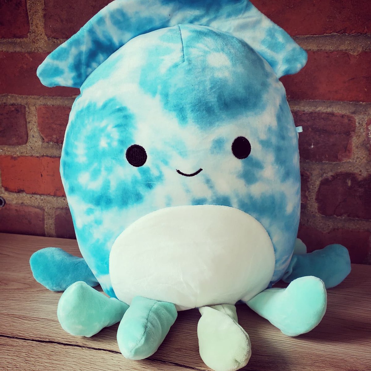 MallowGraham's tweet photo. Landon the Squid
10"
#squishmallows #Landon #squid #SquidSquad #Australia #SquishMail https://t.co/0SQQtt3LEA
