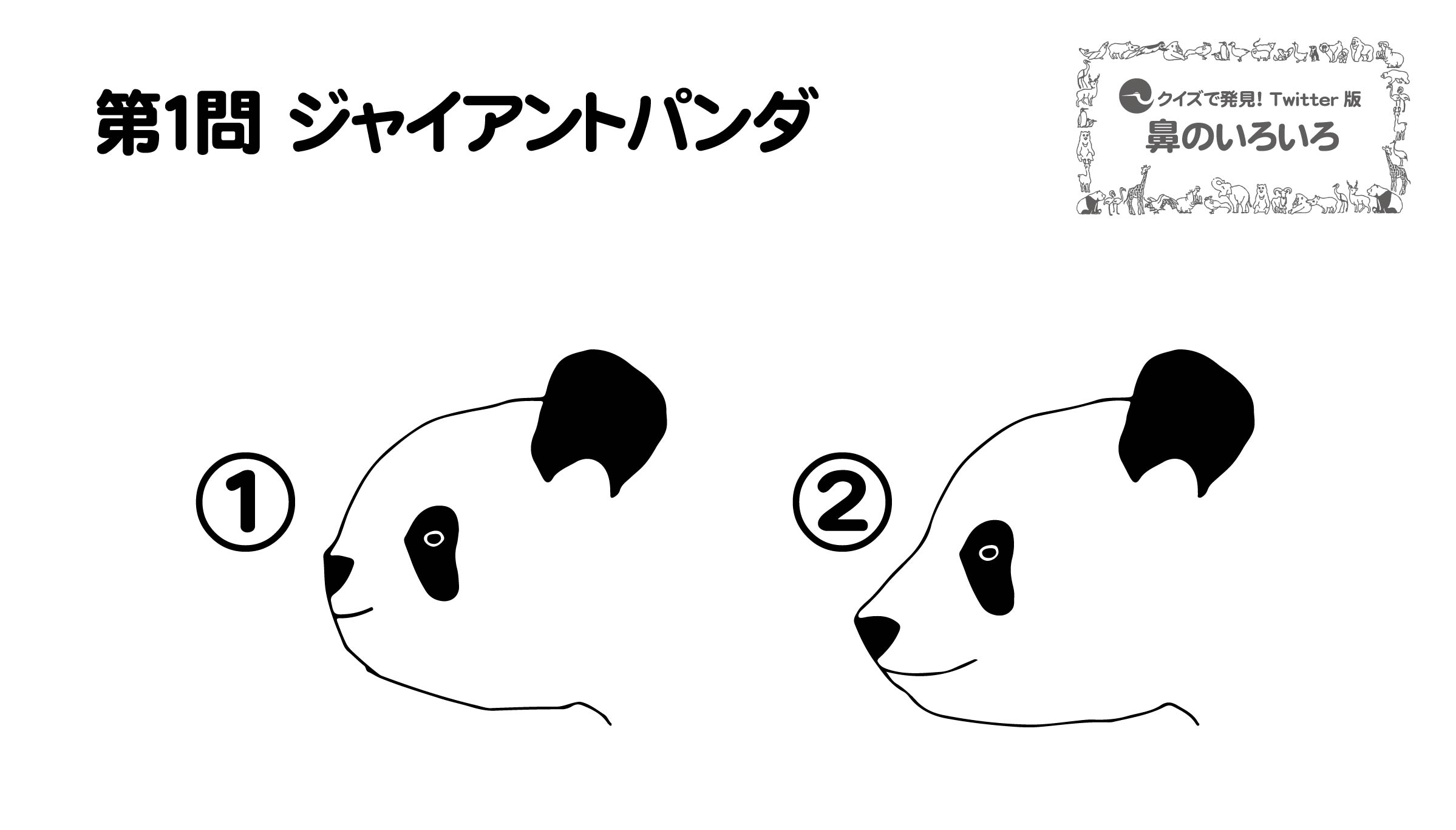 上野動物園 公式 餌のタケも におい で選びます ジャイアントパンダ T Co R0nmu45hvf Twitter