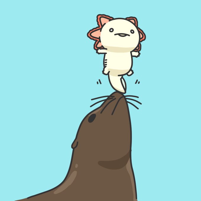 アシカのtwitterイラスト検索結果