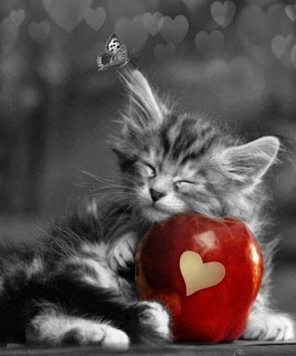 INSTINC26289171's tweet photo. @nsaidian Morning beautiful soul
Remind you how "FREAKING"
awesome you are
🍎
Apple a Day keeps the doctor away
🍎 https://t.co/YMb8XzQGaC