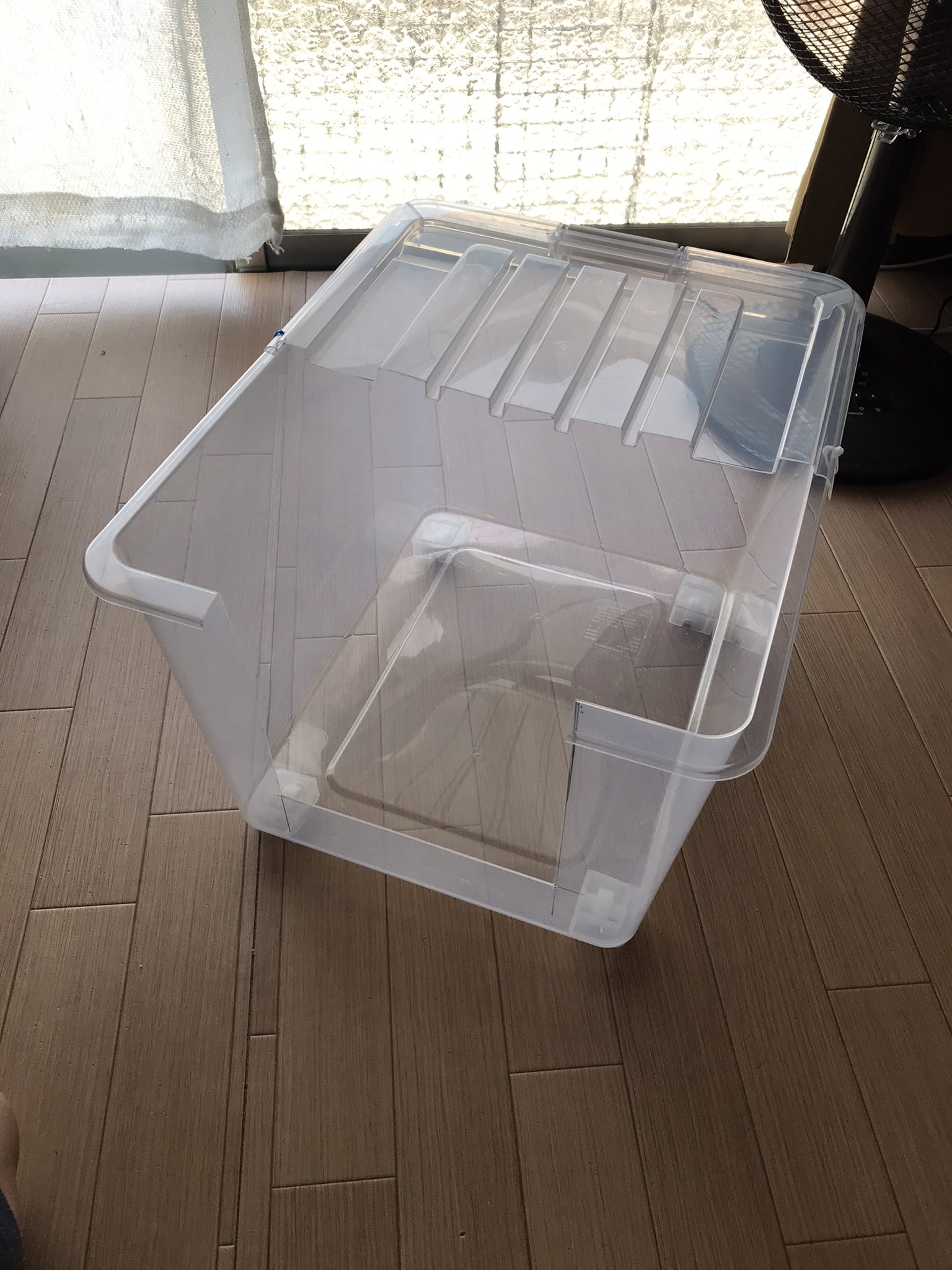 ただまさひろ 収納ケースで猫のトイレを作りました 猫用トイレを買うよりうんと安上がりですよ オシッコの位置が高い子がいるので蓋半分で飛び散りガードです 家族が増えたのでトイレも増やしました 猫トイレ自作 猫トイレ 猫のいる暮らし 猫