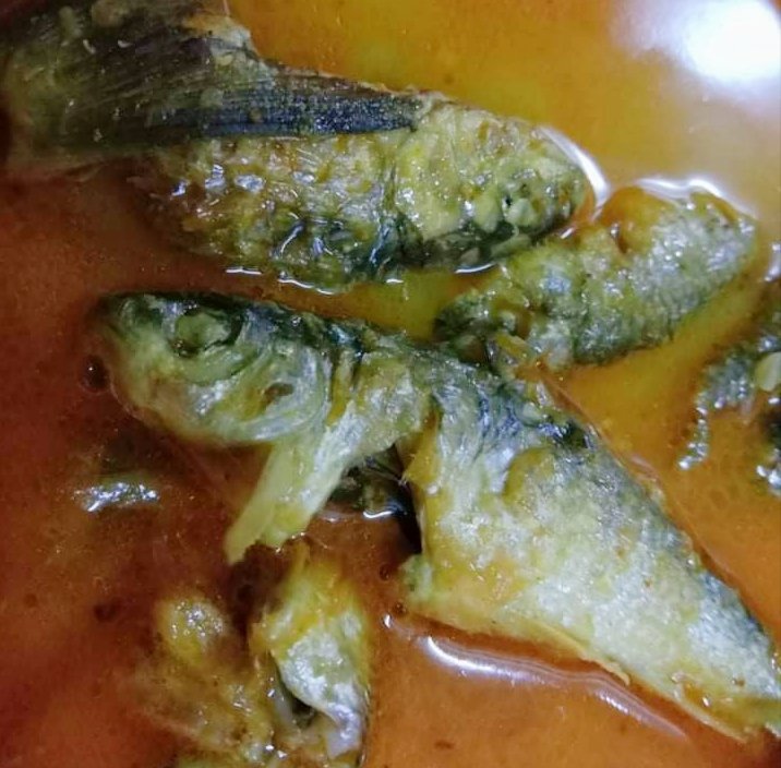 CookEmerging's tweet photo. A unique buttery small fish recipe. It is a twisted indian style fish recipe. Fresh river fish.
#fish #homemade #fishrecipe #Cooking #indiancusine #desi https://t.co/3ex31eBjHH