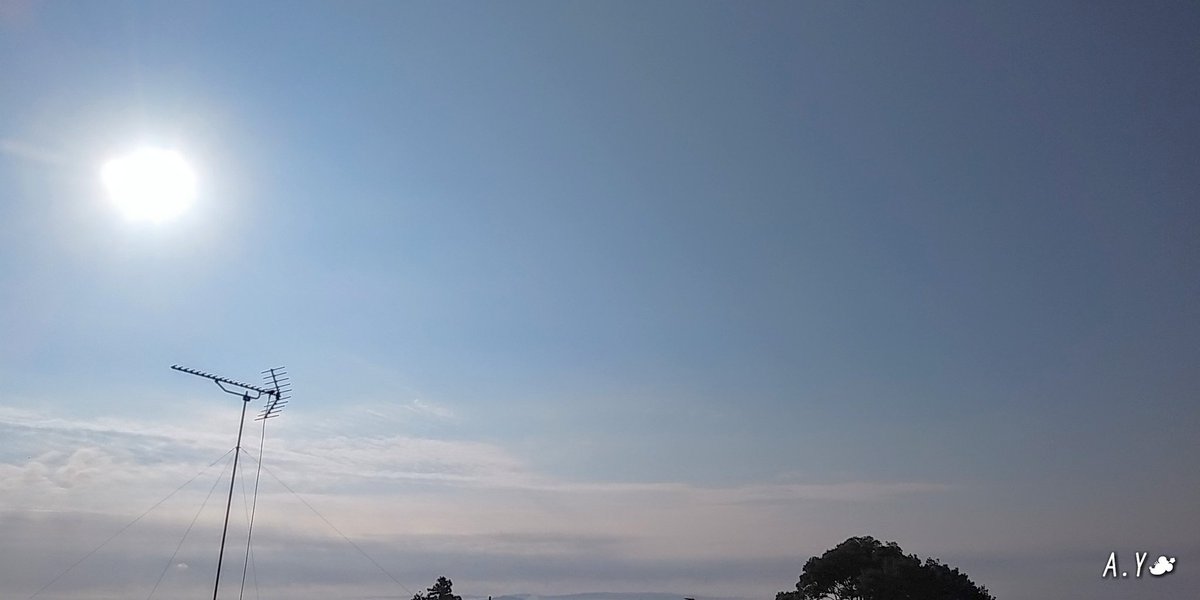 yumeasutw's tweet photo. お日様燦々☀️山々が #雲海 で霞む蒸し暑い土曜日の朝💙
予想最高/最低気温🌡️33℃/23℃
晴れ時々曇り☀️/☁️
雲が多く晴れたり曇ったり俄か雨に御用心です。
#空の名前
#雲の教室
#天気の図鑑
#青空
#sunshine
#層雲
#ピエール・ド・ロンサール
#薔薇 #rose
#庭花 #flower
#a2021 #a0724 #a202107 https://t.co/13EyliWxsn