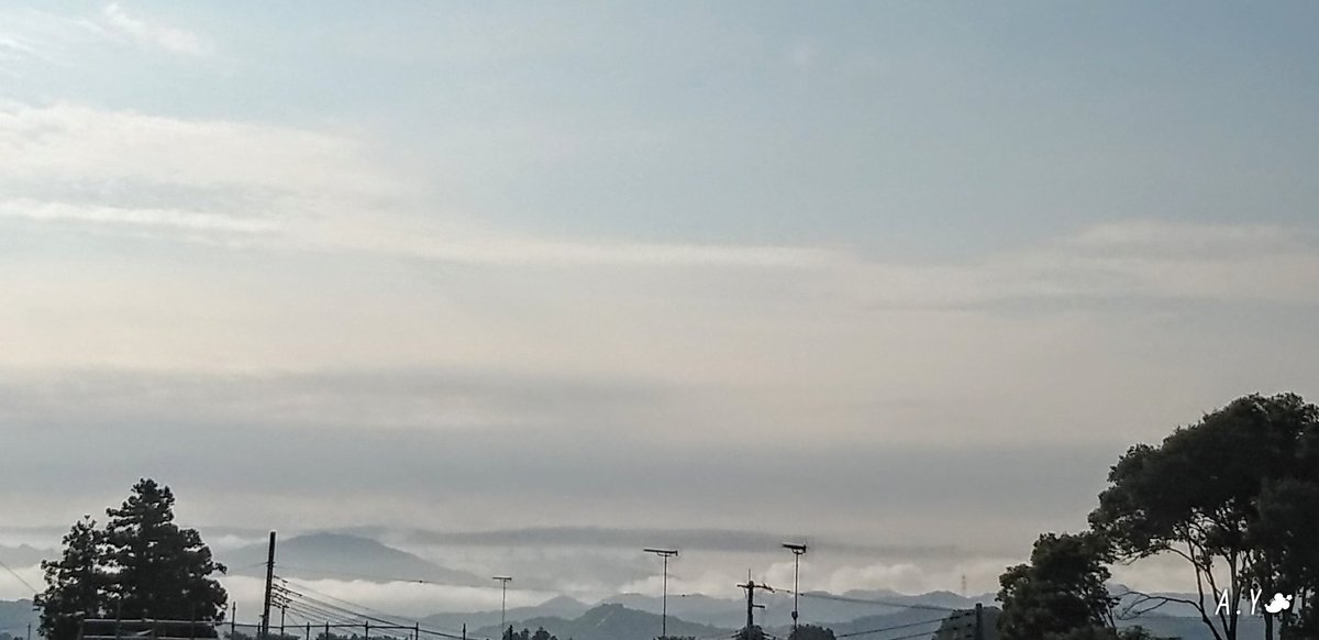 yumeasutw's tweet photo. お日様燦々☀️山々が #雲海 で霞む蒸し暑い土曜日の朝💙
予想最高/最低気温🌡️33℃/23℃
晴れ時々曇り☀️/☁️
雲が多く晴れたり曇ったり俄か雨に御用心です。
#空の名前
#雲の教室
#天気の図鑑
#青空
#sunshine
#層雲
#ピエール・ド・ロンサール
#薔薇 #rose
#庭花 #flower
#a2021 #a0724 #a202107 https://t.co/13EyliWxsn