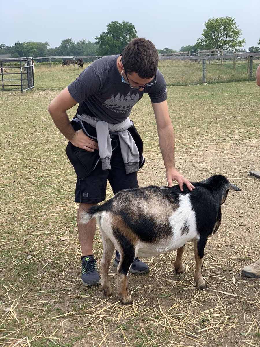 MrsONeil_MCHS's tweet photo. Day 13 of #SummerSession2 We had an amazing day of mindfulness and grounding, hanging with the little herd, team building, picking veggies in the garden, writing thank you cards, and practicing for our family and friends day!!! #GrowingForward #WarriorPride156 #Summer2021 🧡🖤 https://t.co/B9Km8BUy4L