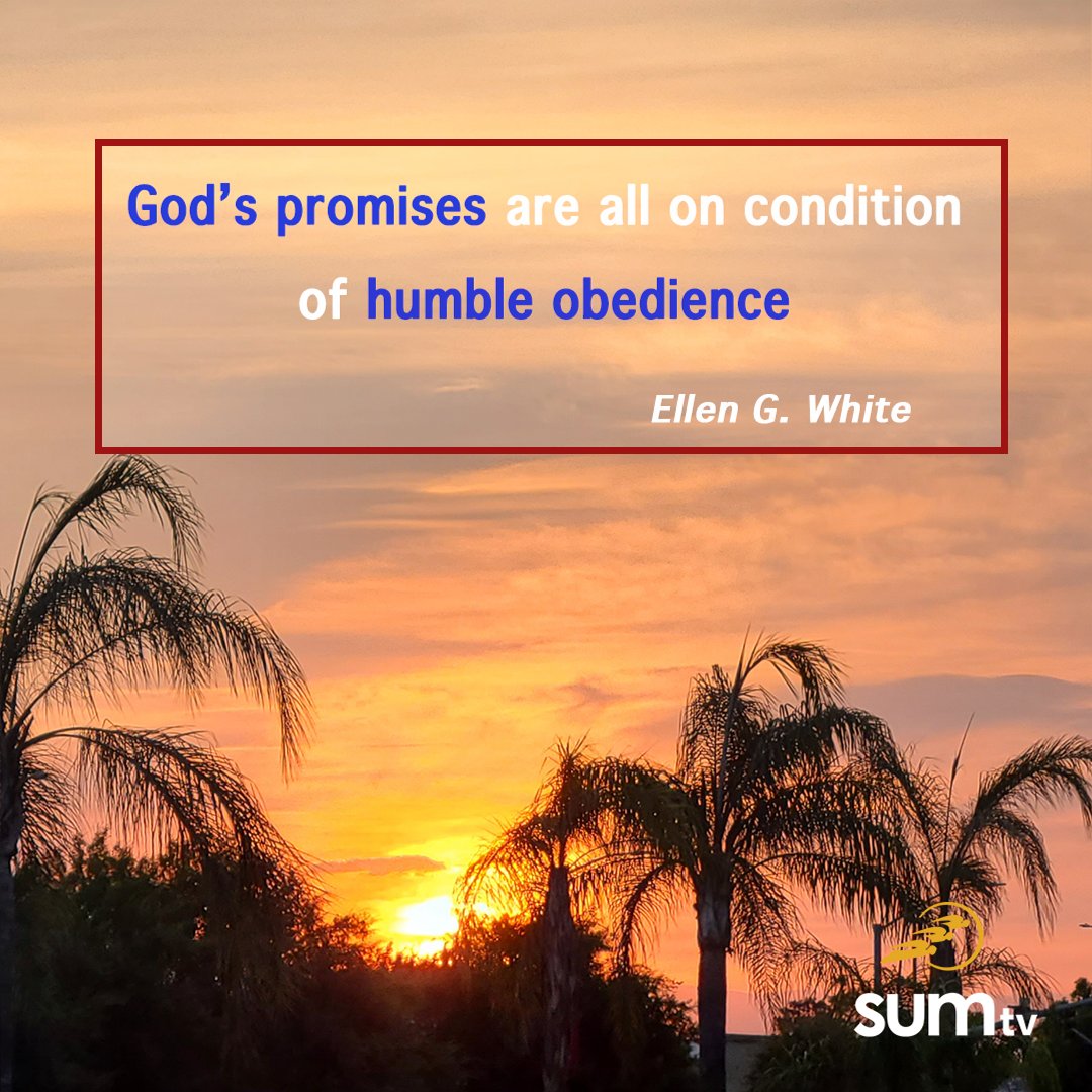 SecretsUnsealed's tweet photo. Happy Sabbath! https://t.co/9ANwlhfCE5