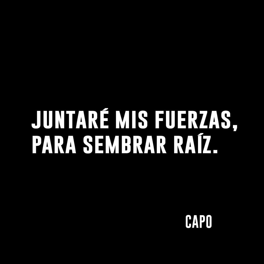 titocapo (@capotitou) on Twitter photo 