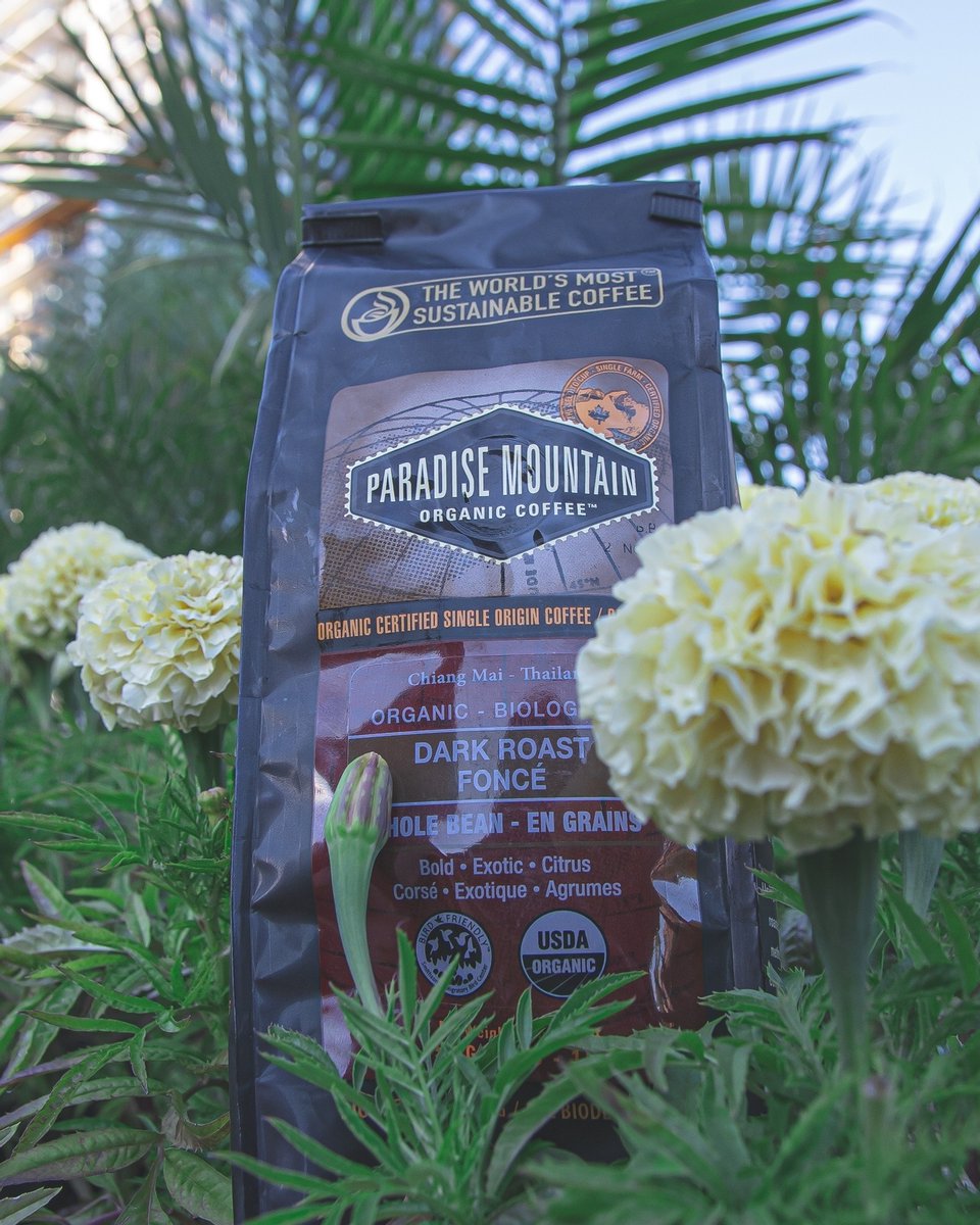 We're on a journey to pay it forward. Pay it forward to coffee lover, coffee farmers and the Earth that gifts us with all things.