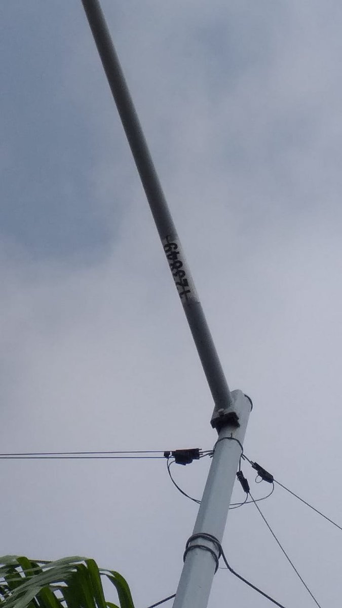 Gustavo Morales tweet media