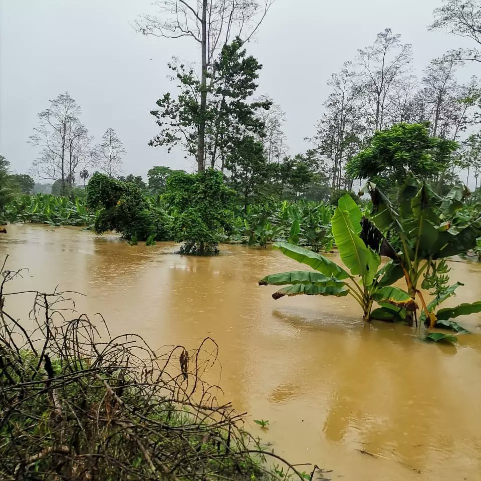 CosechaAgro's tweet photo. #AgroNoticias
😔😔 #BocasDelToro
Naturaleza, imágenes de afectaciones en varios rubros.
.
.
.
#somosAgro #AgroCosechaPanamá #ApoyandoAlProductor #ConsumeLoNacional #Agro #Agricultura #Agronomía https://t.co/XN83hHqMbN