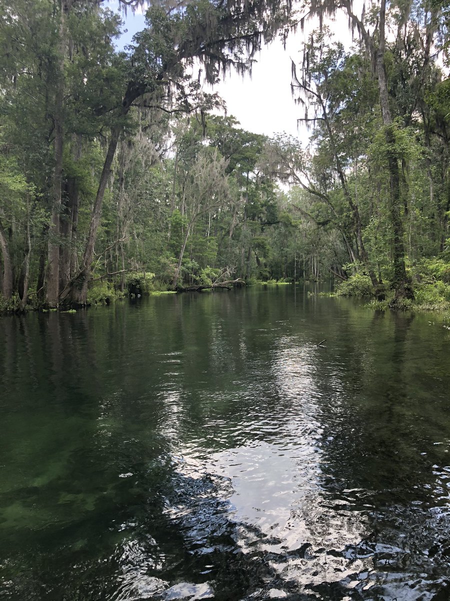 Team River Day at Icetucknee Springs! We had a blast! #TTDL