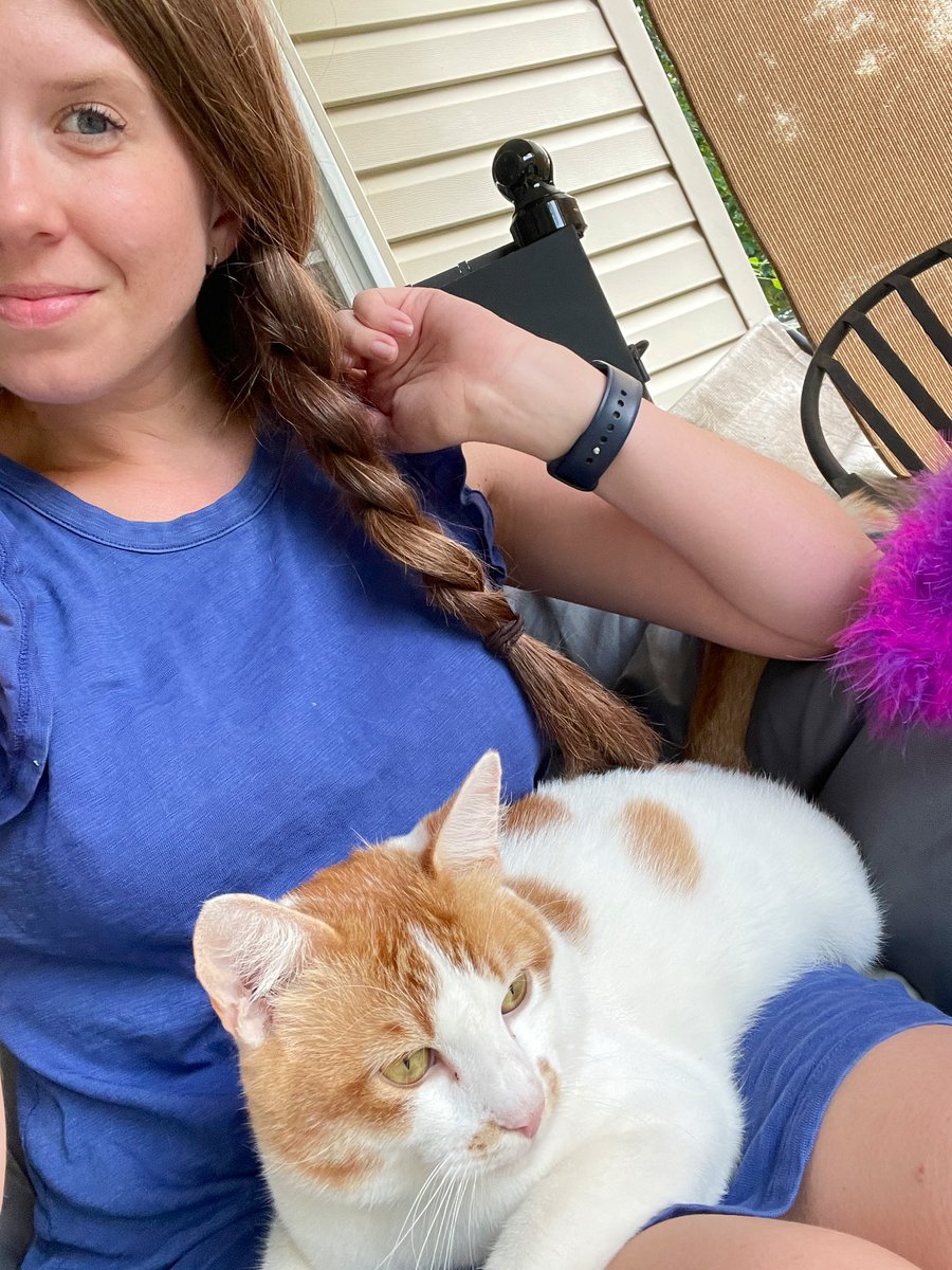 jacqbrush's tweet photo. More progress for those keeping up with #StrayKitty https://t.co/O8EgAYslW7