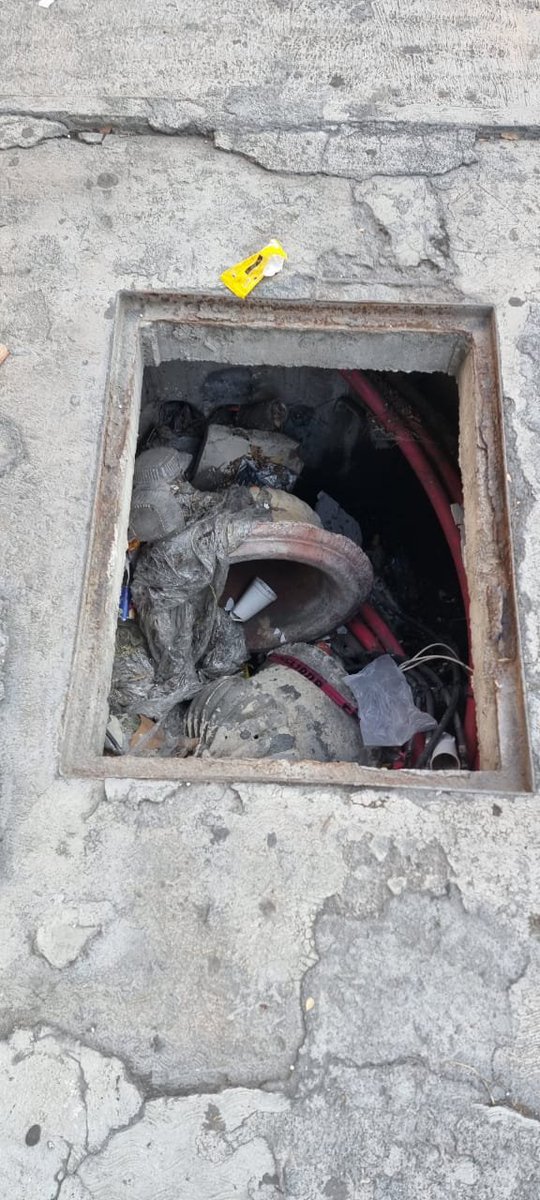 Gustavo Morales tweet media