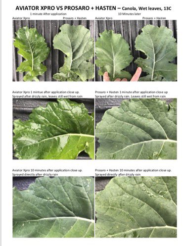 Over the years I’ve worked with lots of products and <a href="/Bayer4CropsAU/">Bayer AU 🇦🇺 | Crop Science</a> RnD but the formulation tech in Aviator Xpro is amazing to see in action let alone it’s best in class disease control. Check out some infield examples of why AvX should be in ur toolkit when short on spray days✅