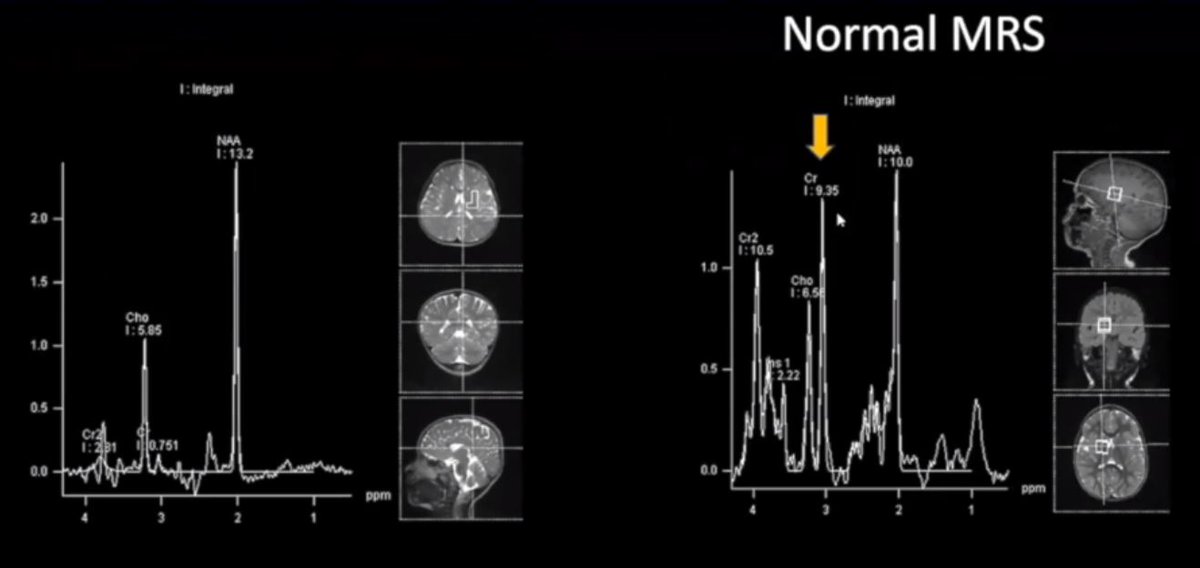 Dr Kish Mankad tweet media