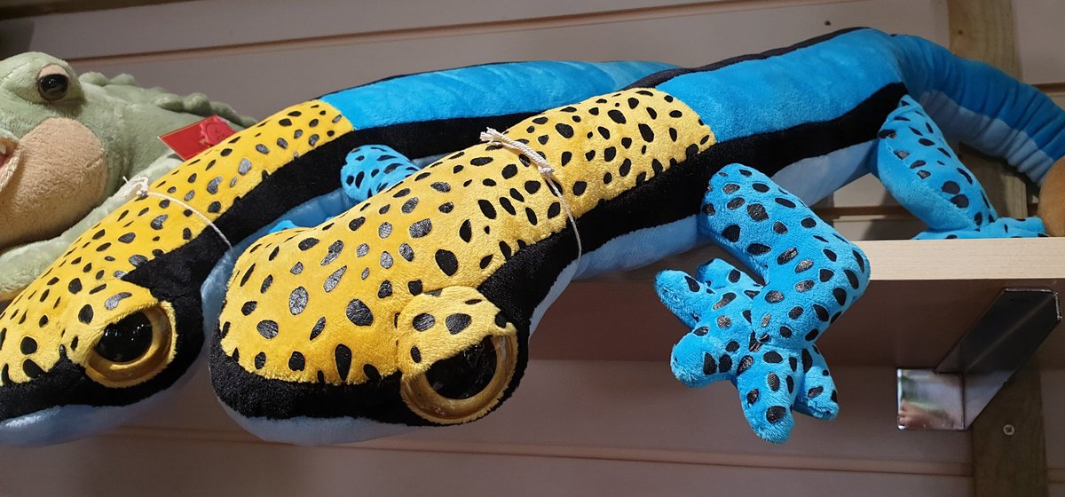 TetZoo's tweet photo. Hey #lizardtwitter, did you know that these plush toys exist? Bonus point if you can identify the species. #lizards https://t.co/veNldGBFny