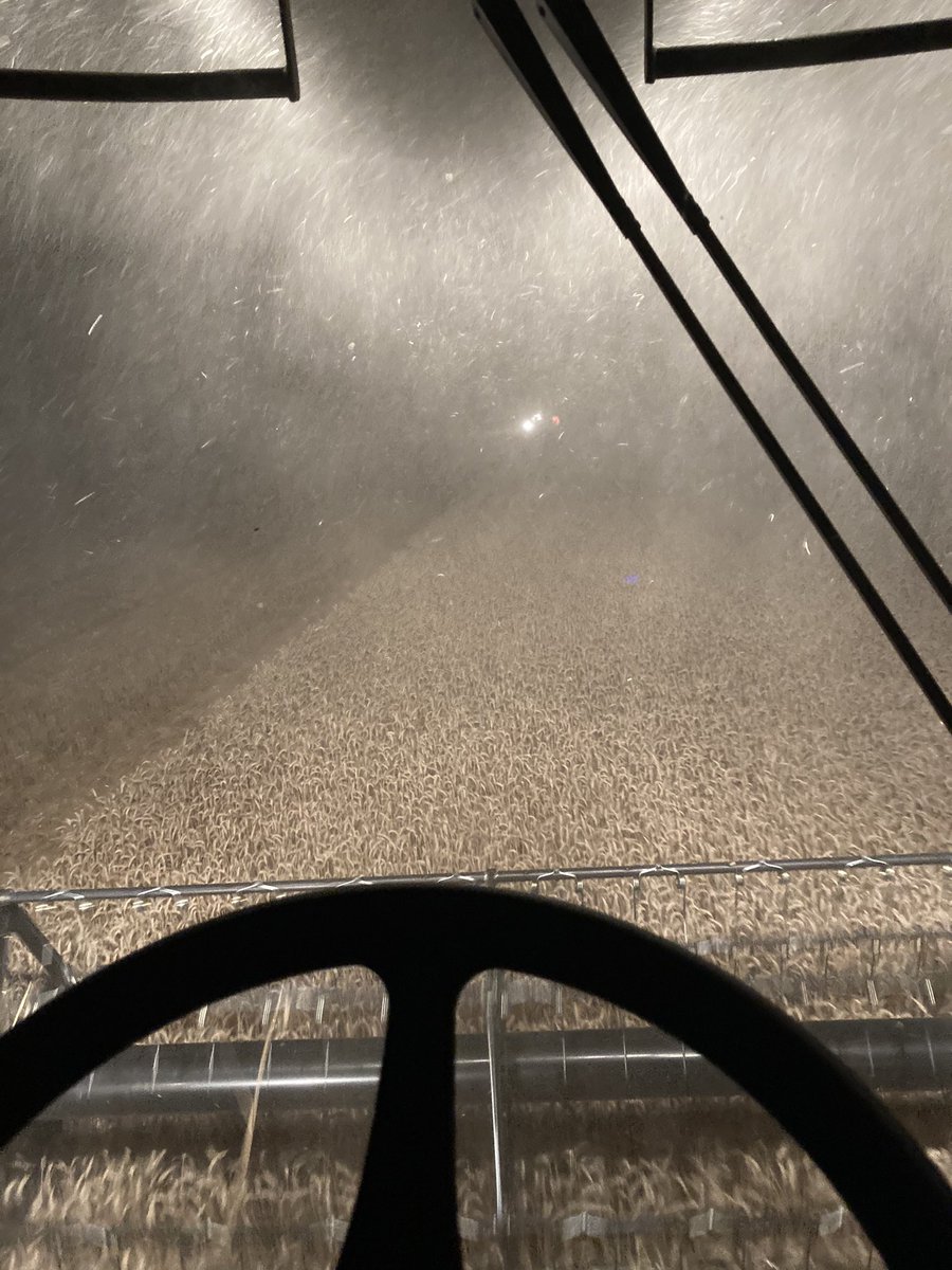 OlivierCOSTE2's tweet photo. Il était 1h cette nuit @Claire_Grasset,
quand on a terminé la filière #MMS2021 #LuHarmony #SemonsDuSens #moisson2021.
Sous la pression des #orages,il restera encore 20% de la sau #blé.
Heureusement @BONNIN1402,
@bleuauxerre m’a permis de rester éveillé sur la route du retour😉. https://t.co/evkv24GO5p
