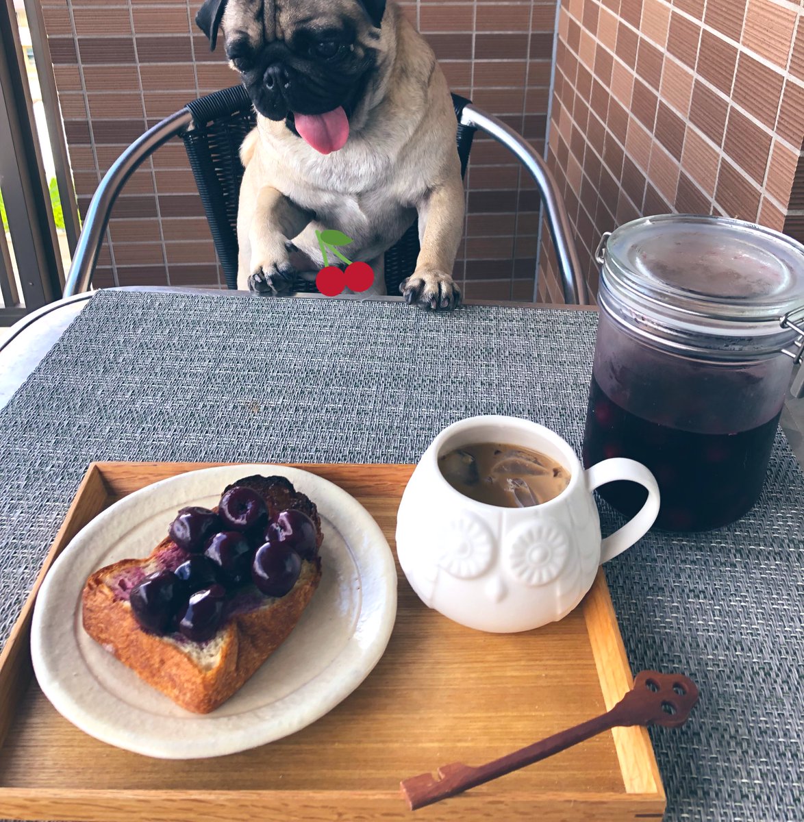 パグのマルクルとインコたち チェリーの種抜き便利 高加水パンにアメリカンチェリーのコンポート汁だくが美味すぎる パン Dean Delucaとジュウニブンしか食べたことない 他のところも食べてみたい アメリカンチェリー 高加水パン チェリー