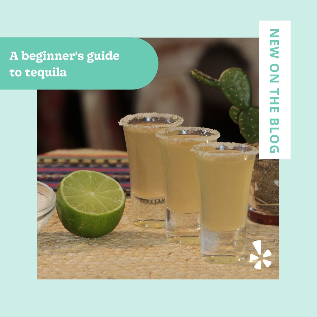 IEYelp's tweet photo. If shots in college and blended margaritas encompass your experience with tequila, it's time to learn more about the history and culture behind this drink. We distilled it down to a beginner's guide so check out the blog post. https://t.co/PRrZ7HrG8K https://t.co/LwbfXCDLBf
