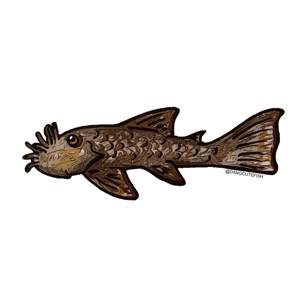 sucker fish petsmart