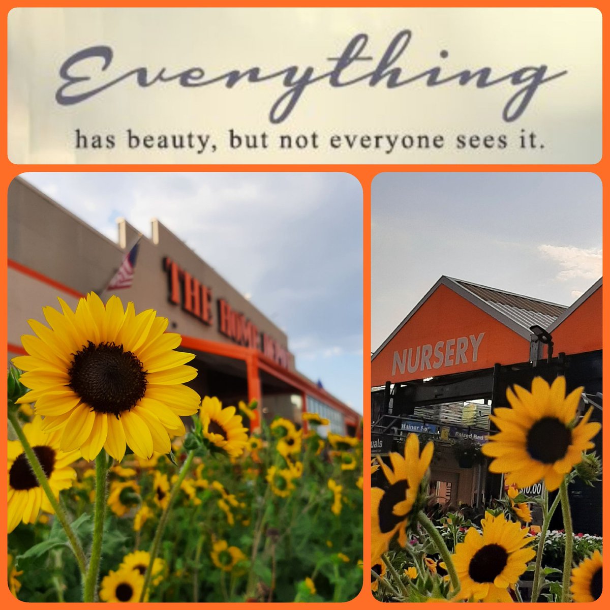 Vicky Keisling (@keislingvicky) on Twitter photo Come and see our summer colors <a href="/HD2579/">Lansdowne Home Depot</a> Lansdowne. <a href="/b_mungul/">Brian Mungul</a> <a href="/EricWal29158377/">Eric Walker</a> Come and see our summer colors <a href="/HD2579/">Lansdowne Home Depot</a> Lansdowne. <a href="/b_mungul/">Brian Mungul</a> <a href="/EricWal29158377/">Eric Walker</a>