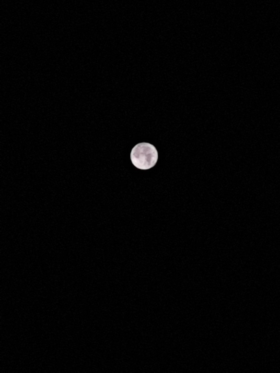 EssraaaAhmed's tweet photo. @Mohamed_s_a_n 250 and 1/3000
و غالبا اكتشفت ان عندي الSce optimizer مش بيشتغل مع الPro mode عشان كدة الصور مش حلوة 😅 https://t.co/6IQxmceZnA