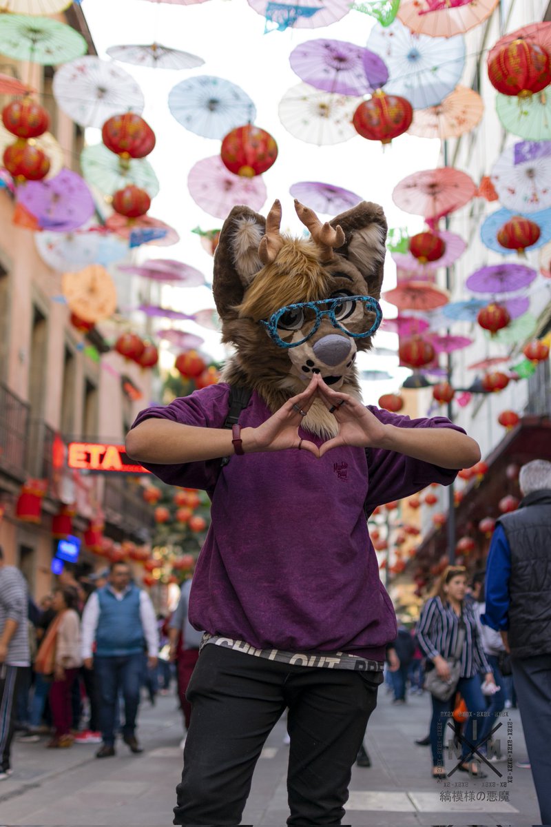 WoleerDeer's tweet photo. 📷: @TheNinoLoco
Ya se me acabó la creatividad para #FursuitFriday 😎👌
#Furry #Venado #deer #CDMX #furryfandom #PincheCovid #tucola https://t.co/gq9jwc56hN
