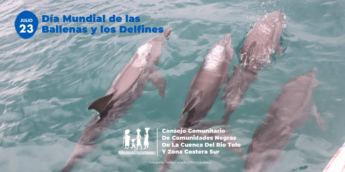 Cocomasur tweet media