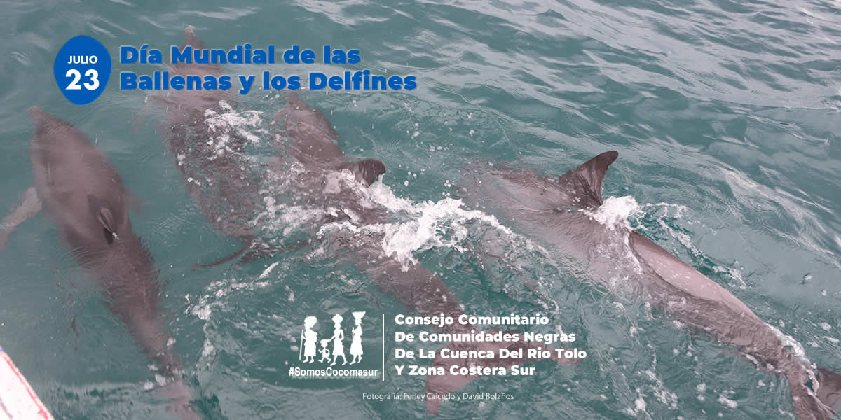 Cocomasur tweet media