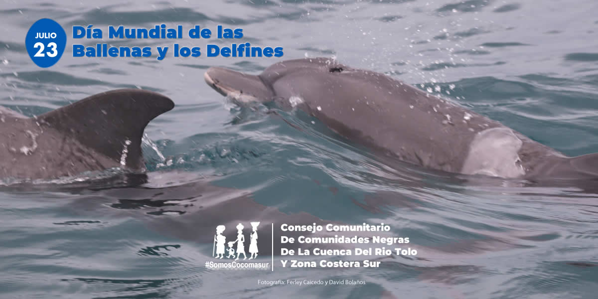 Cocomasur tweet media