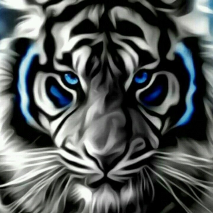 #FotoProfilBaru