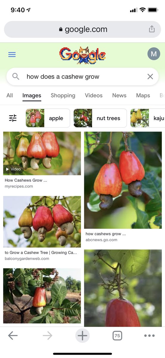 did anyone know this