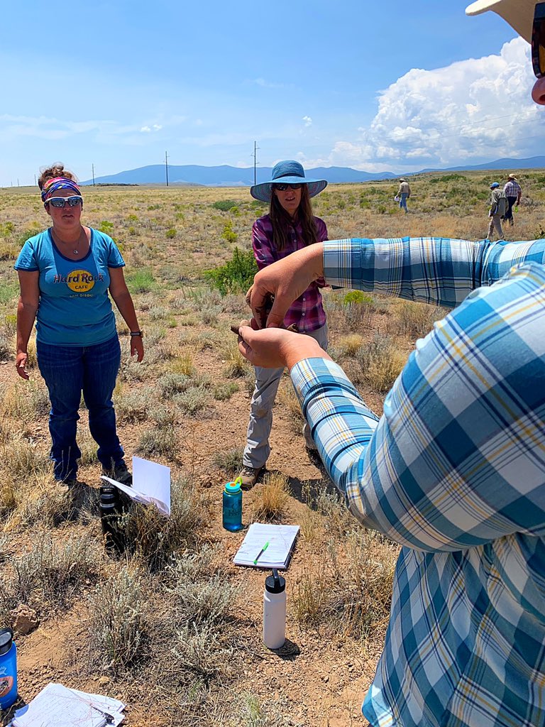 PaleoLaura's tweet photo. We dug a lot of soil pits to find A horizon, organic matter, identify type—such as loam. Amazing amount of info and history can be gained from this. I need to study #soils more. San Luis Valley, Colorado, Jeff Herrick’s class on evaluating Ecological Sites #rangemanagement #IIRH https://t.co/Cuh1S9ytZm
