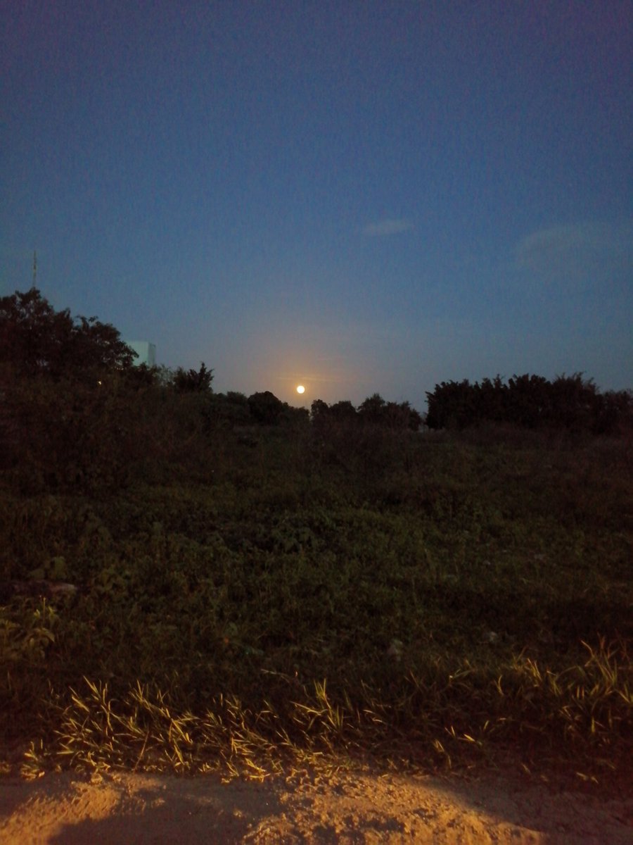 tanyblack34's tweet photo. Mi fallido intento de capturar la bella luna 🥺🤦🏻‍♀️ https://t.co/dUFPbDYDEC