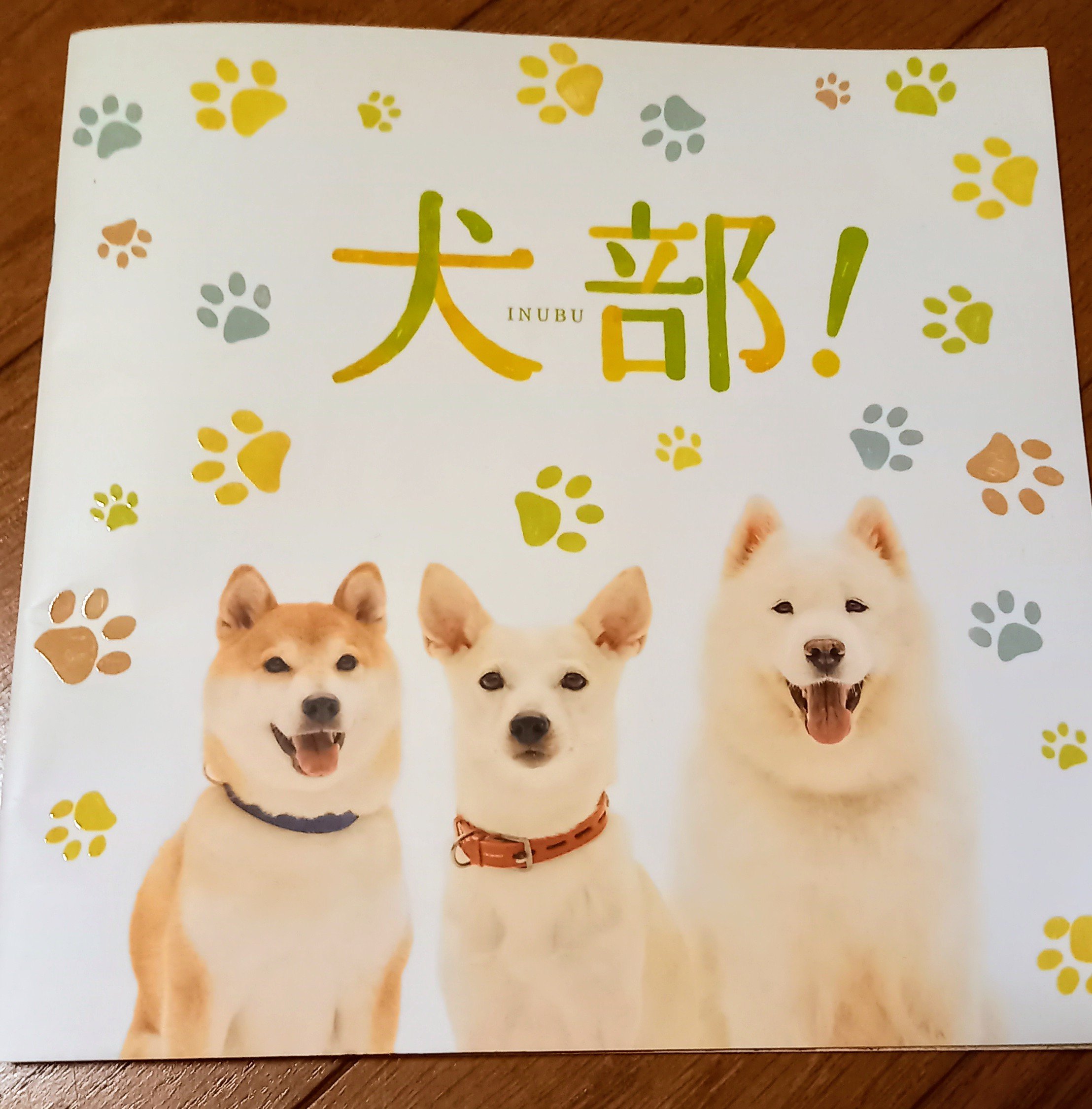 吉野まり 映画 犬部 昨日の夜に観に行った友人よりパンフレットが完売だった 泣 と連絡が 嬉しい悲鳴だけど 残念 今は手に入るのかしら 読み応えたっぷりの素敵な１冊です 犬部 Tohoシネマズ 篠原哲雄監督 T Co U8miuqefo4 Twitter