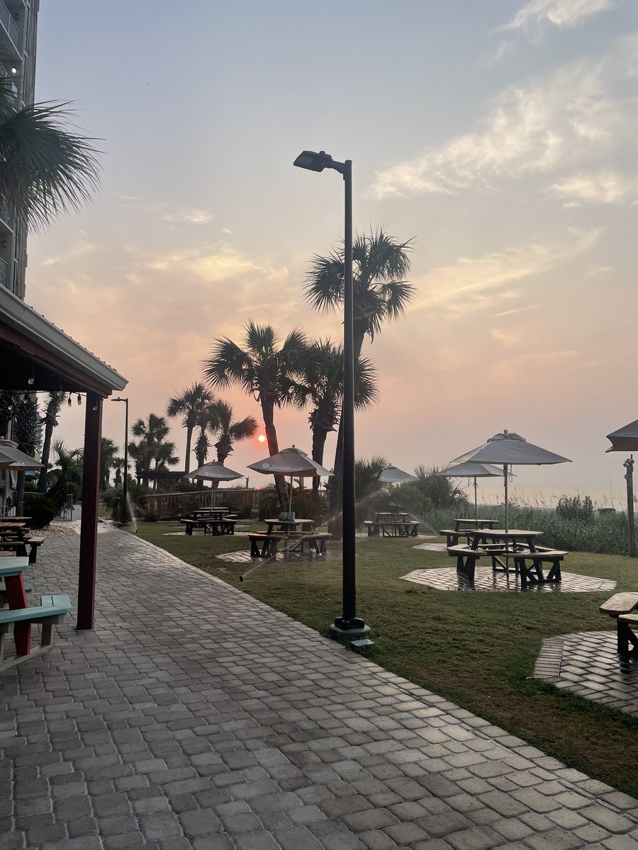 tmcchick's tweet image. ☀️