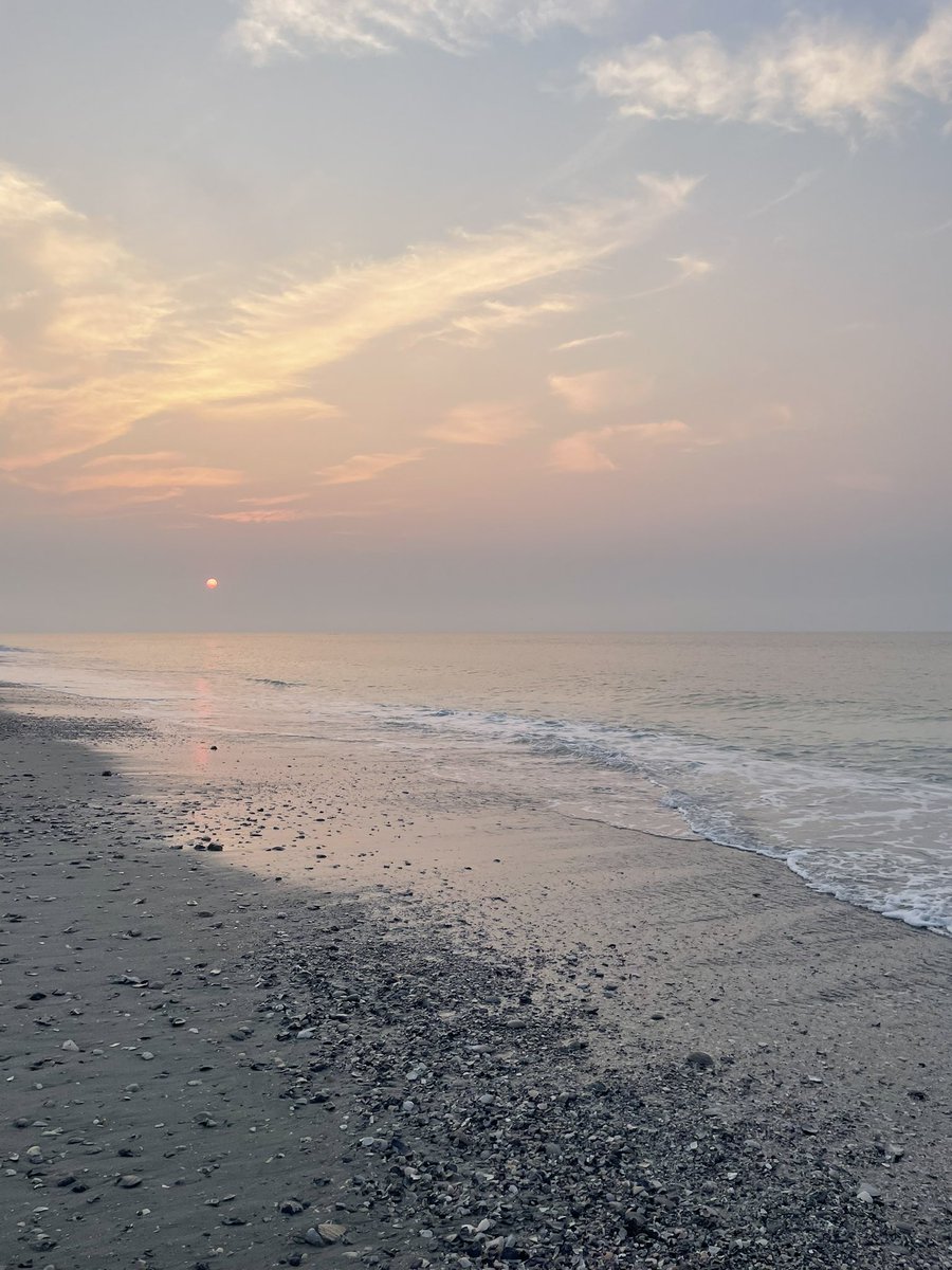 tmcchick's tweet image. ☀️