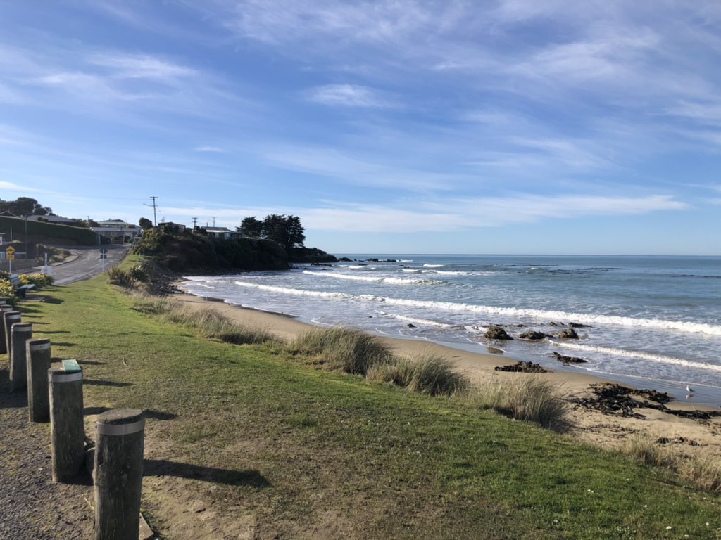 Chris Gallavin tweet media