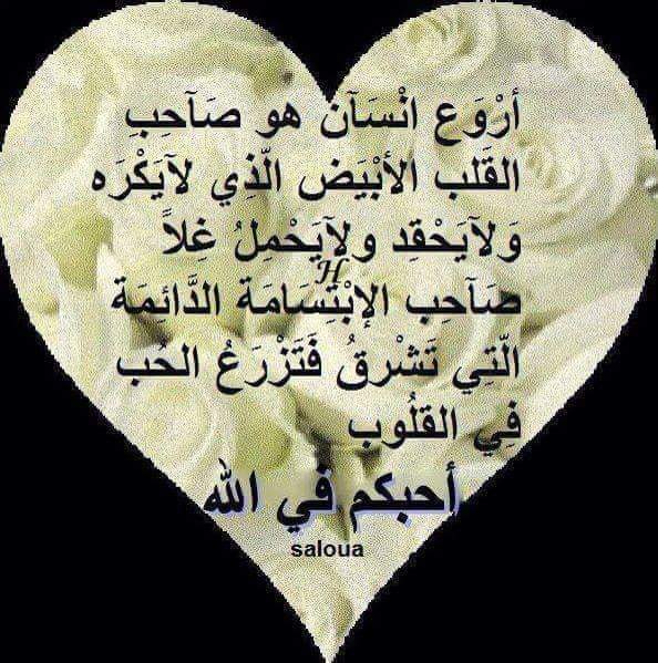 صباح الأمل بالحياه   ونسعد ونقول الحمد لله على كل نعمه.       صباح  مشرق بصفاء القلوب