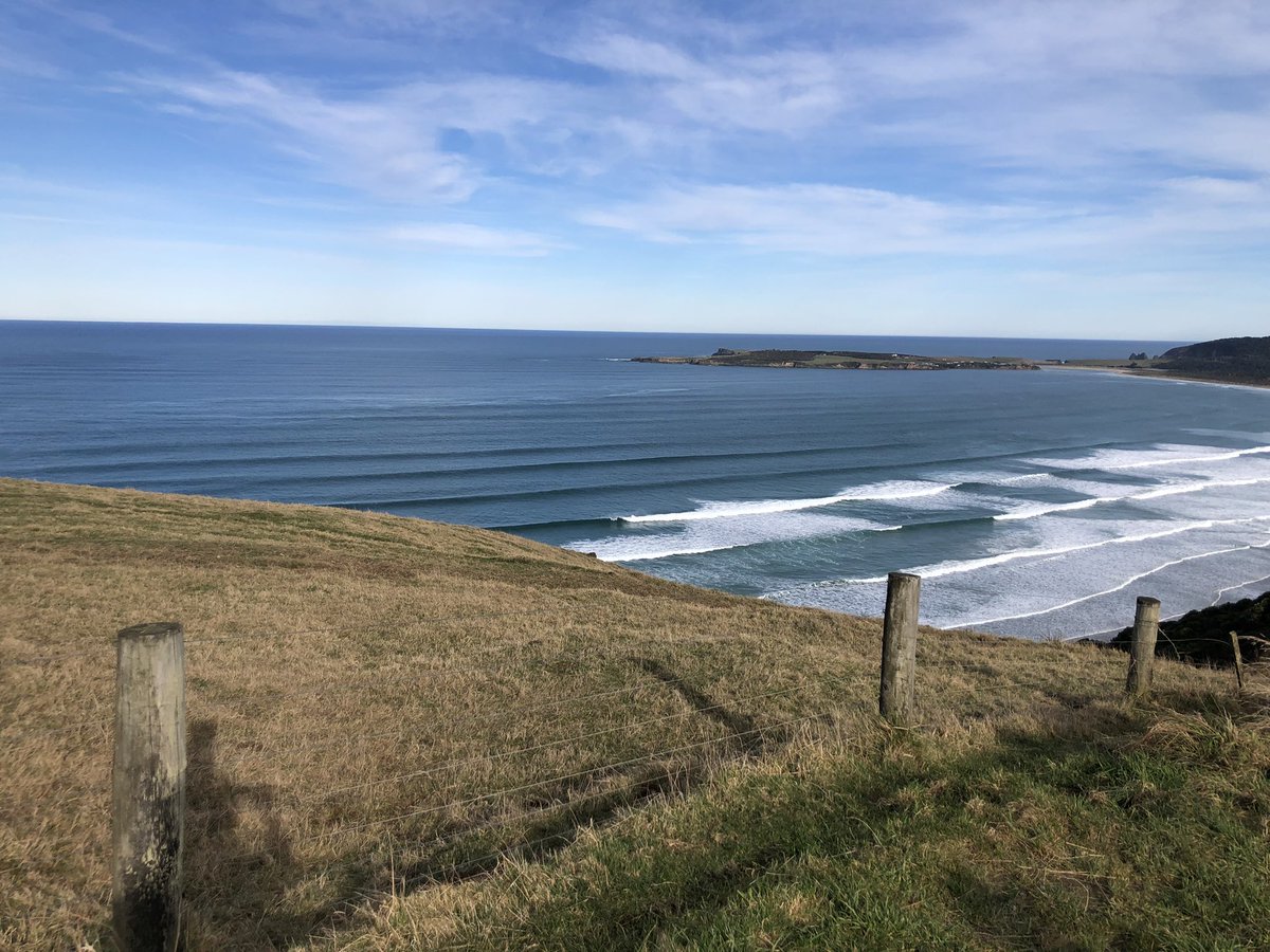 Chris Gallavin tweet media