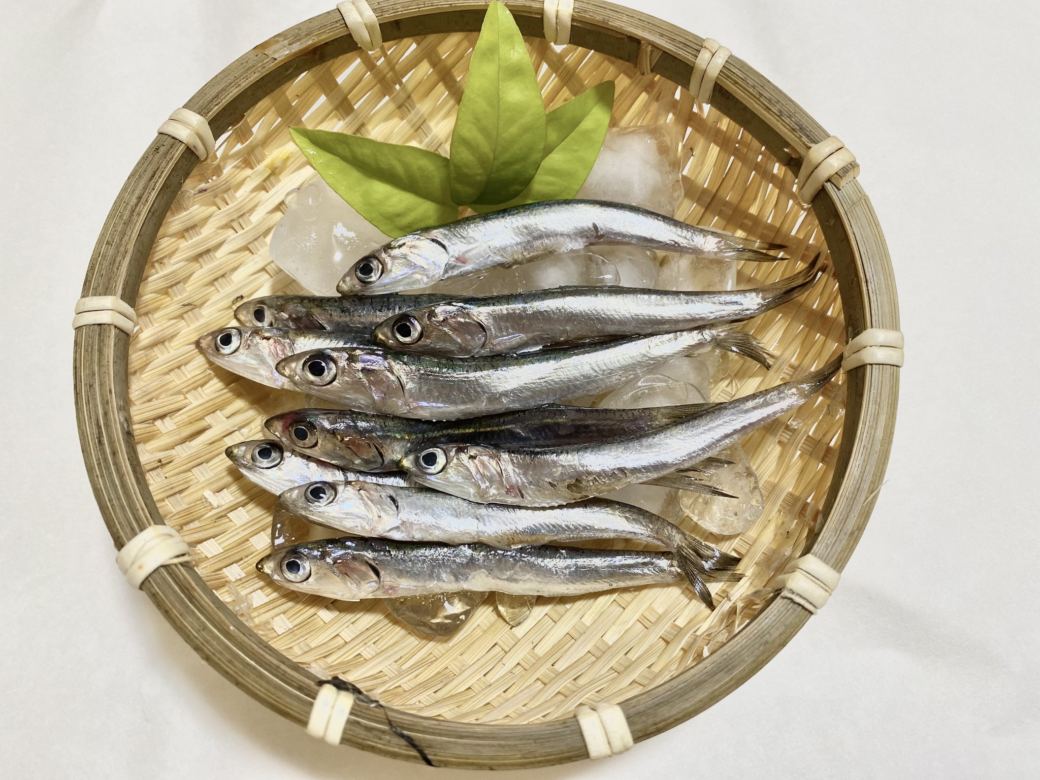 広島県 刺身で食べるのは広島だけ 小イワシ 広島 湾で獲れる 小イワシ は鮮度抜群 天ぷらやお刺身 などで食卓にあがることも多いのでは 特に刺身は洗うことで身が締まり 7回洗えば の味 とも言われています 答えはこちらから T Co 広島県 刺身で食べるのは広島だけ 小イワシ 広島 湾で獲れる 小イワシ は鮮度抜群 天ぷらやお刺身 などで食卓にあがることも多いのでは 特に刺身は洗うことで身が締まり 7回洗えば の味 とも言われています 答えはこちらから T Co