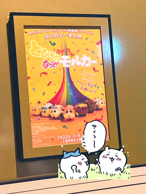 今からプイプイします。 