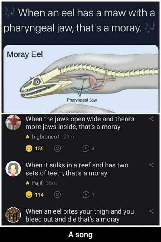 ScienceMajorProblems tweet media