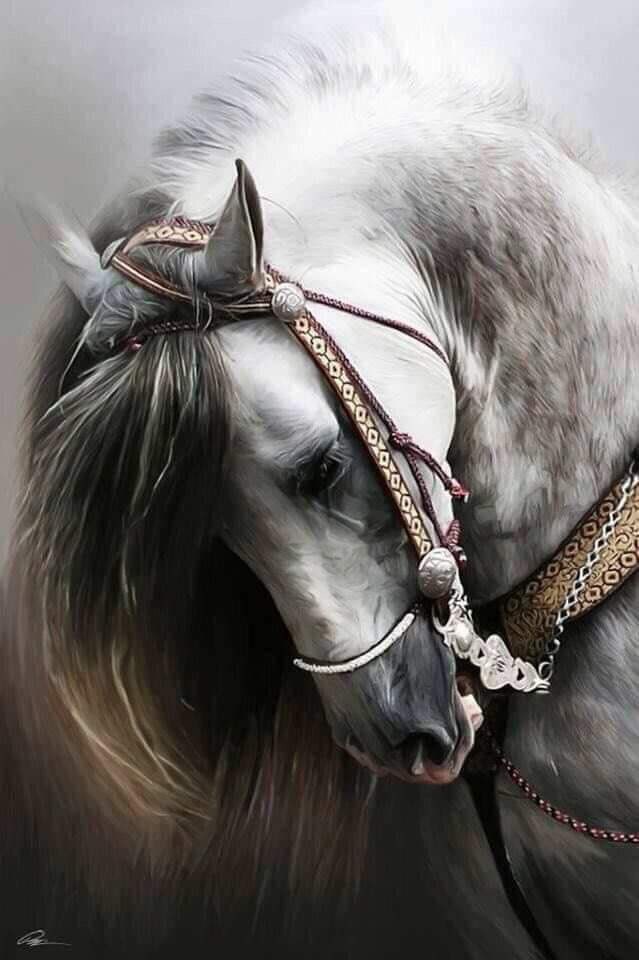 ❦• ᎶᏌᎪᏞᏌ┢┦aΡpy •❦ tweet media