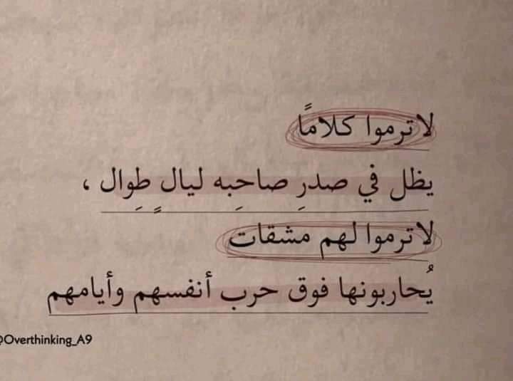 Dounia Ouided tweet media