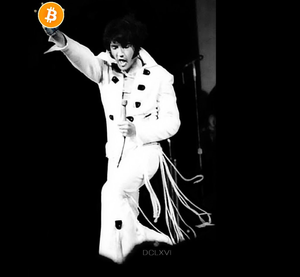 DCLXVI_NFT's tweet photo. #BTC #theking https://t.co/cXBnCZIWMF