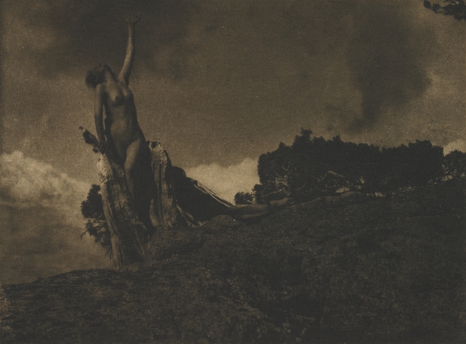 WomensArtForAll's tweet photo. Soul of the Blasted Pine, 1909 #annebrigman #brigman https://t.co/4PEIBjGAD0