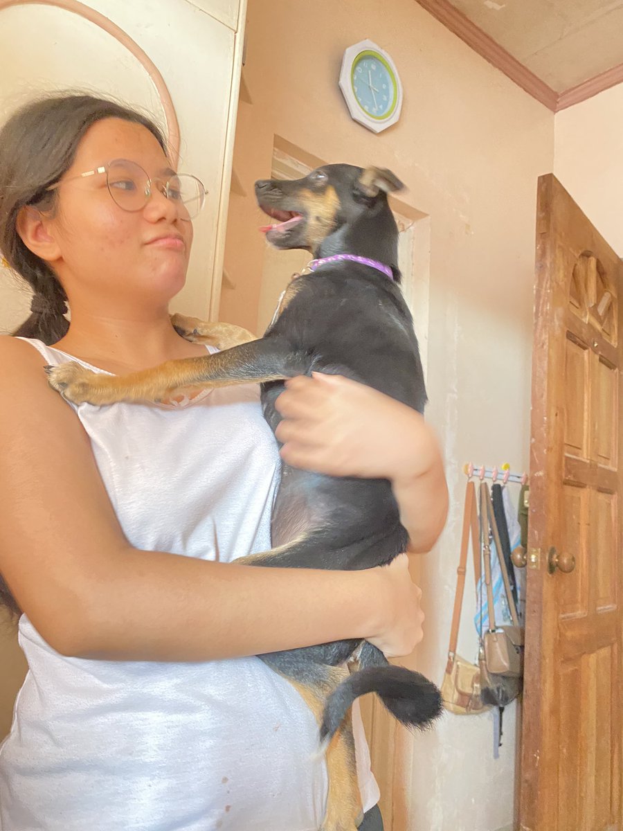 MQAgdalipe's tweet photo. unable are the loved to die, for love is immortality. -E. D.

I love you! 💖🐶💖 thank you for all the good morning jumps in my room, and everything in between, Ayame. Visit me and manang Raine in our dreams pls, pleasee 🥺 https://t.co/ba1RnHuKsg