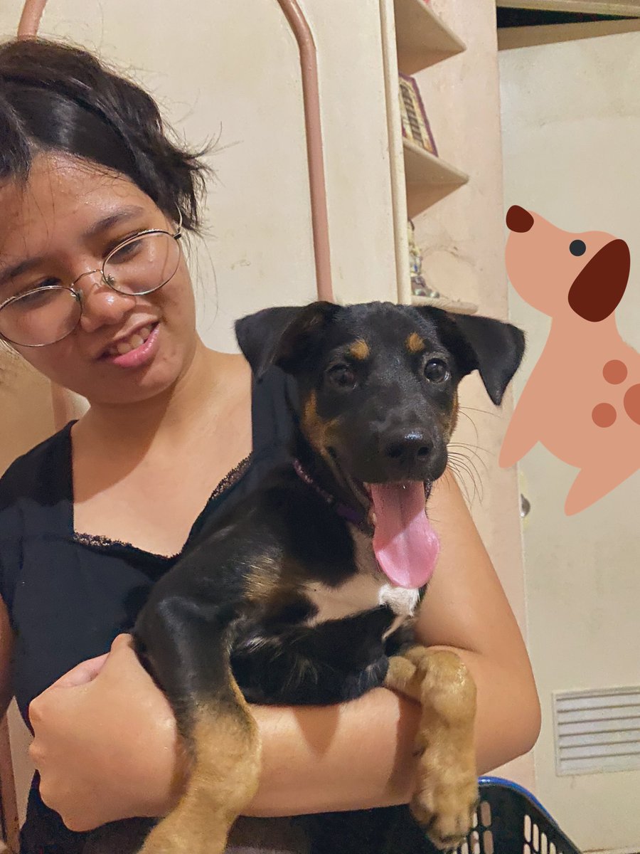MQAgdalipe's tweet photo. unable are the loved to die, for love is immortality. -E. D.

I love you! 💖🐶💖 thank you for all the good morning jumps in my room, and everything in between, Ayame. Visit me and manang Raine in our dreams pls, pleasee 🥺 https://t.co/ba1RnHuKsg